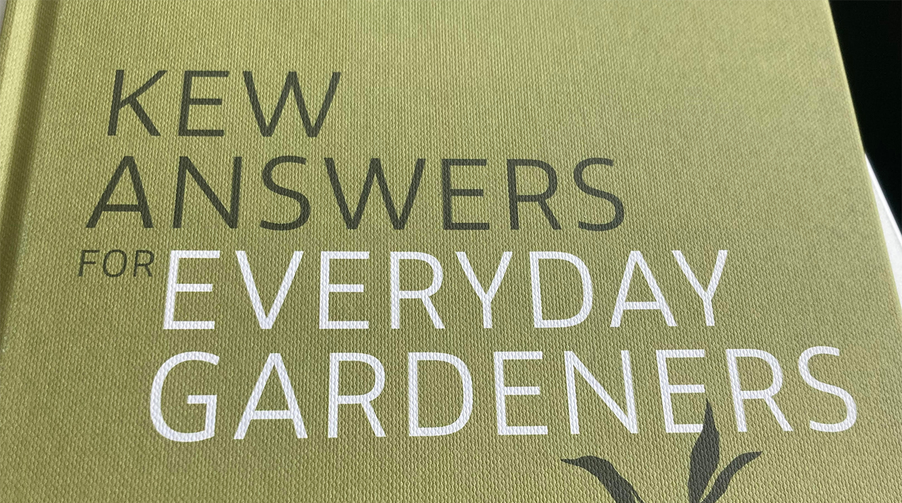 Kew Answers